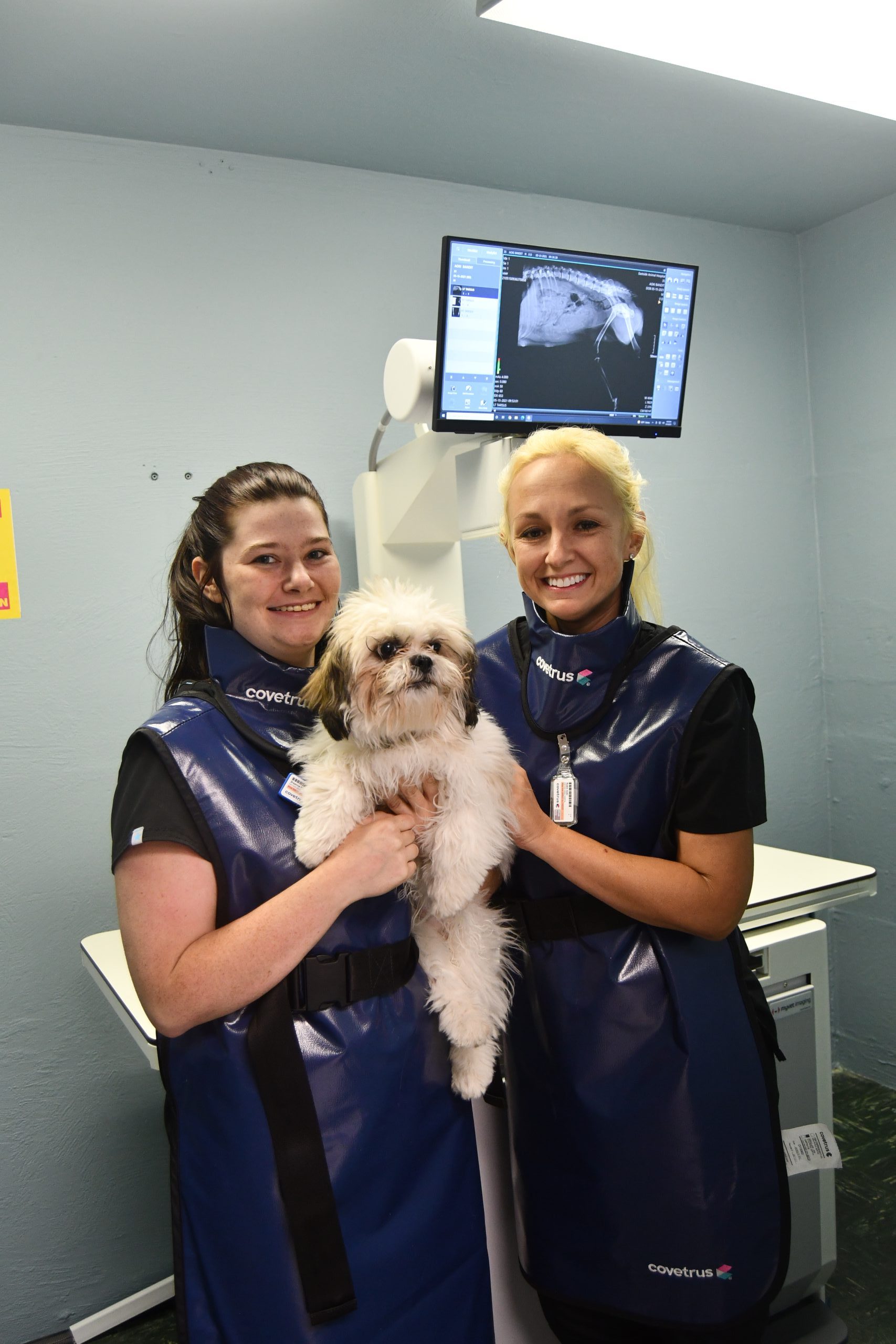 Veterinarian in Pleasant Ridge, OH